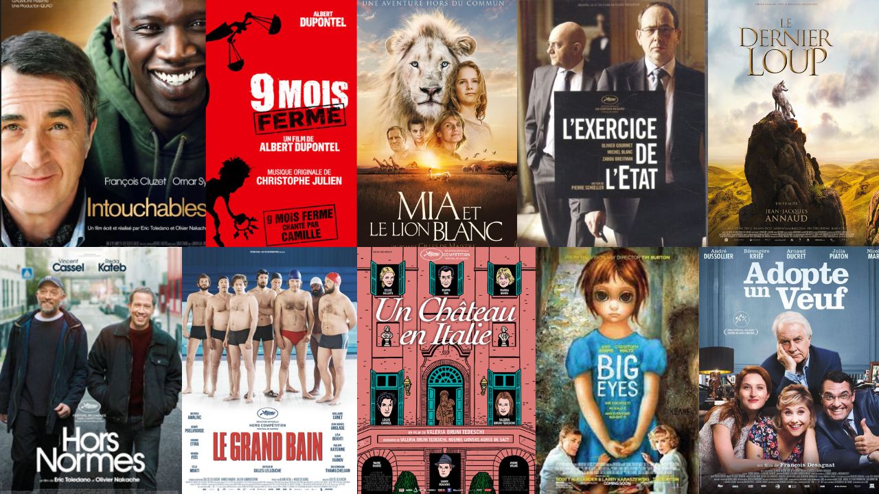 Affiches des films pour le vote