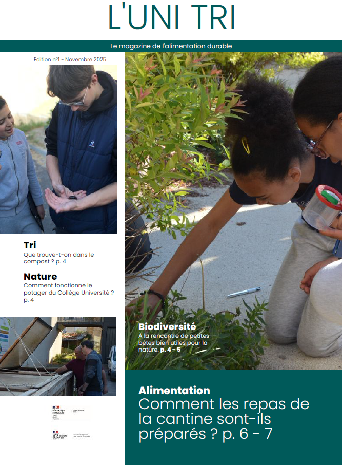 Résidence Journalisme 2025