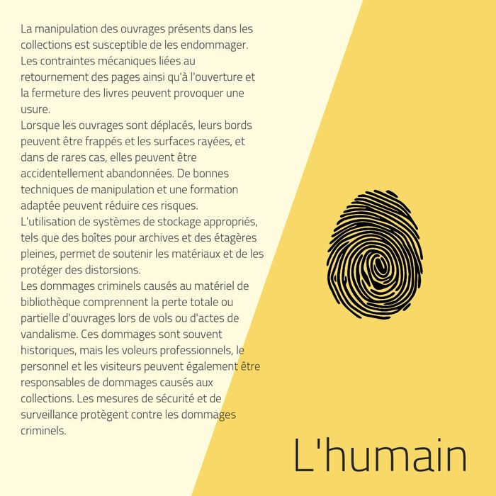 humain - présentation