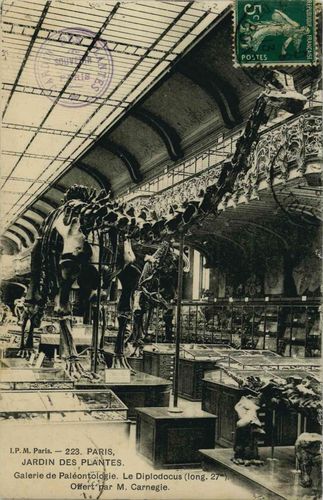 CPA dinosaure Carnegie - Jardin des plantes