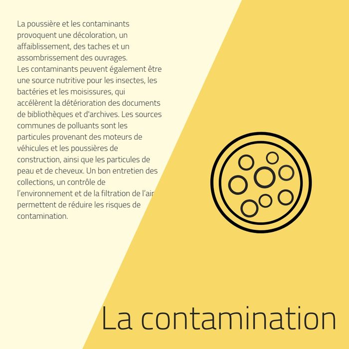 contamination - présentation