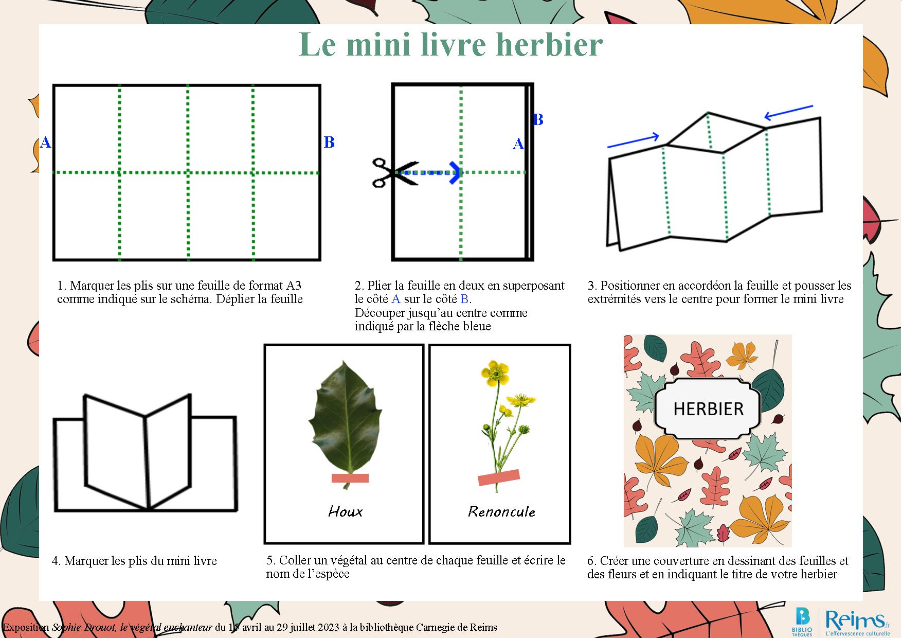 Le mini livre herbier