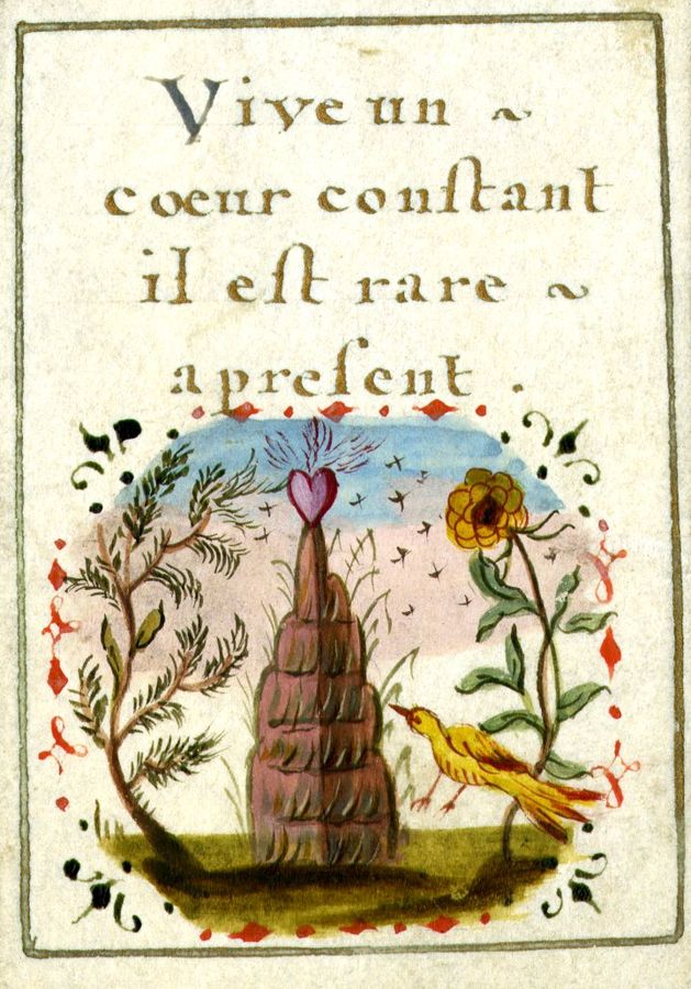 Février 2026 : L'amour s'invite à la bibliothèque à l'occasion de la Saint Valentin. Dossier documentaire n°30