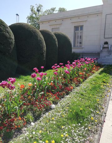 Avril 2020 - Parterre de fleurs devant la bibliothèque Carnegie pendant le confinement