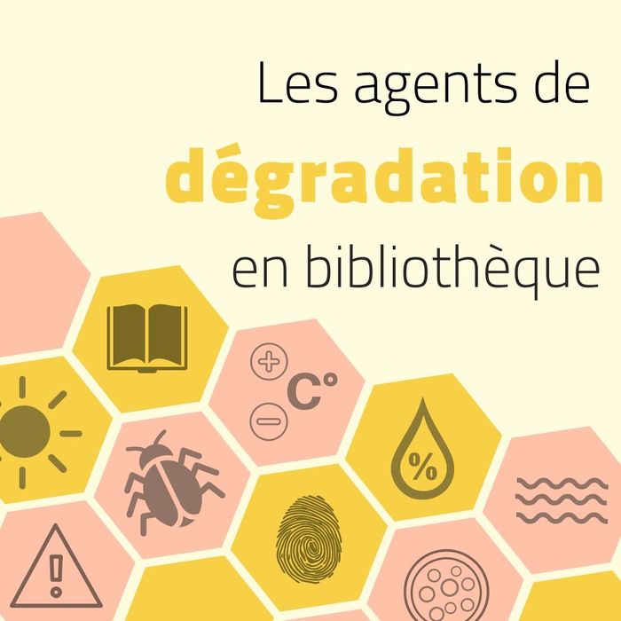 Les agents de dégradation en bibliothèque