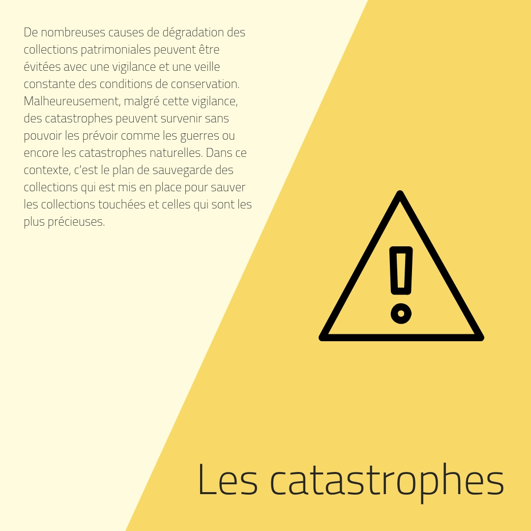 les catastrophes -présentation