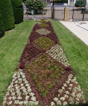 Juillet 2020 - Parterre de fleurs aux motifs Art déco réalisé par la direction des Espaces Verts de la ville de Reims