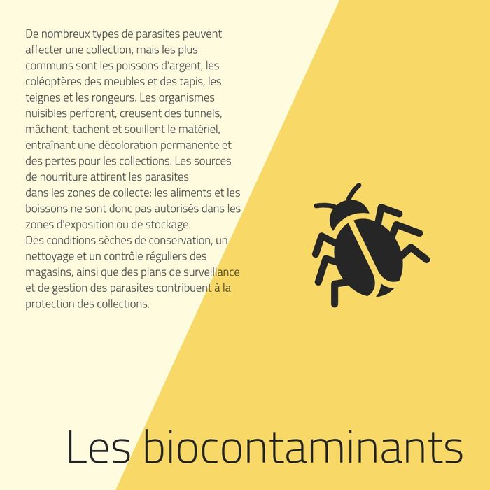 biocontaminant - présentation